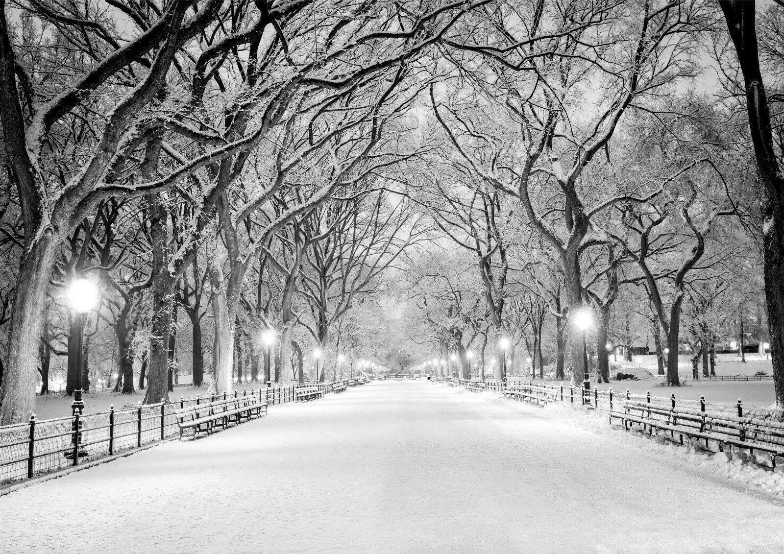 Central Park New York Black &  - đánh giá và giá Photography New York